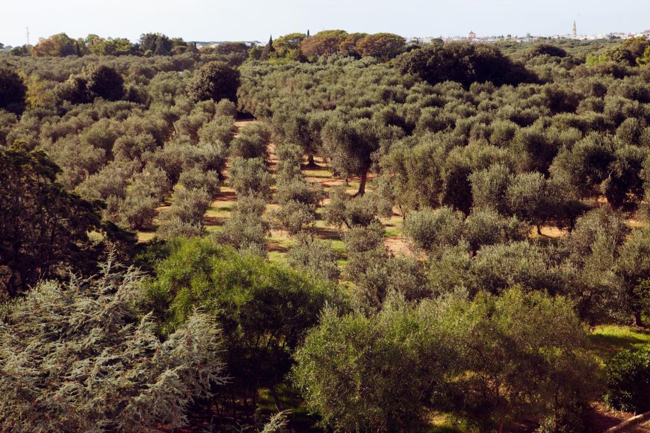 Masseria Borgo Mortella Lecce Eksteriør bilde